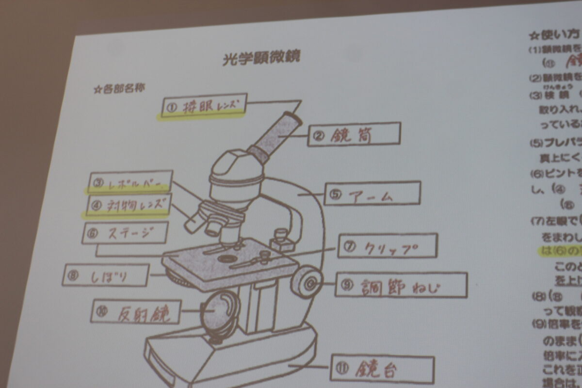 １年生 理科 光学顕微鏡 の使い方を学習しました 東海大学付属大阪仰星高等学校中等部 高等学校